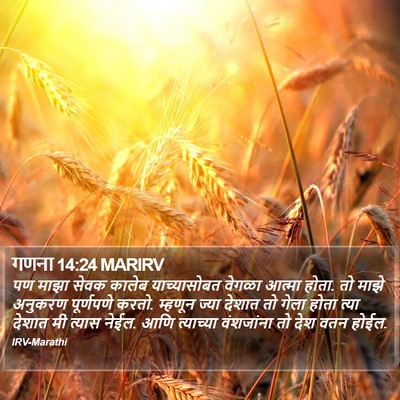 गणना 14:24 MARIRV Bible Verse Image