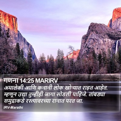 गणना 14:25 MARIRV Bible Verse Image