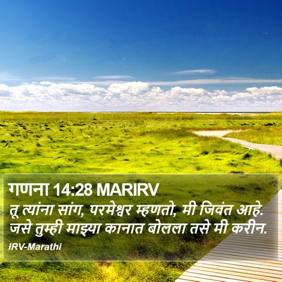 गणना 14:28 MARIRV Bible Verse Image