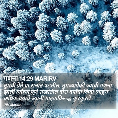 गणना 14:29 MARIRV Bible Verse Image