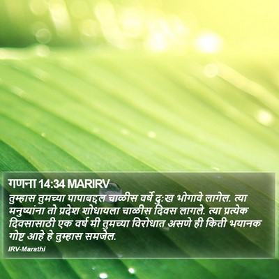 गणना 14:34 MARIRV Bible Verse Image