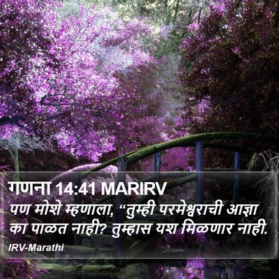 गणना 14:41 MARIRV Bible Verse Image