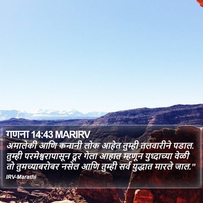 गणना 14:43 MARIRV Bible Verse Image