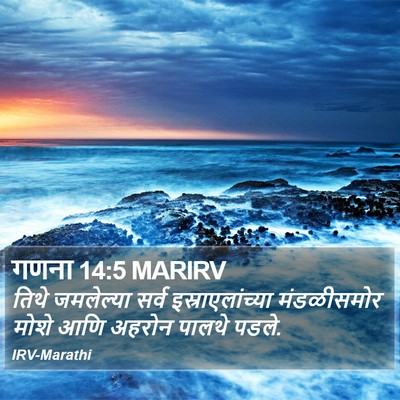 गणना 14:5 MARIRV Bible Verse Image