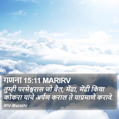 गणना 15:11 MARIRV Bible Verse Image