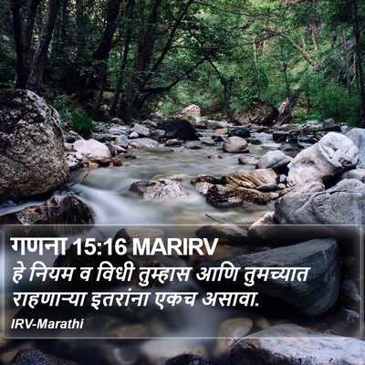 गणना 15:16 MARIRV Bible Verse Image