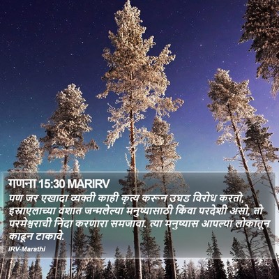 गणना 15:30 MARIRV Bible Verse Image