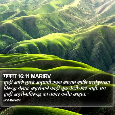 गणना 16:11 MARIRV Bible Verse Image