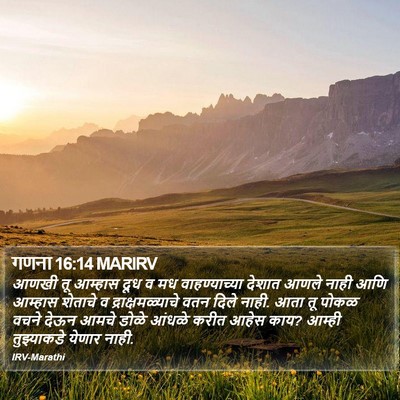 गणना 16:14 MARIRV Bible Verse Image