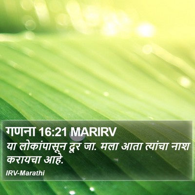 गणना 16:21 MARIRV Bible Verse Image
