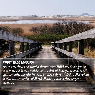 गणना 16:30 MARIRV Bible Verse Image