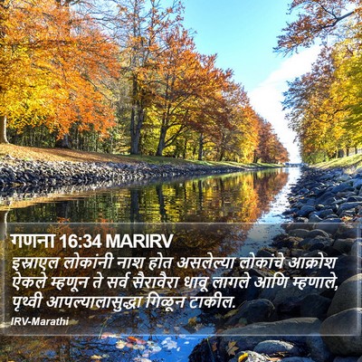 गणना 16:34 MARIRV Bible Verse Image