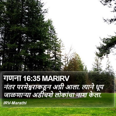 गणना 16:35 MARIRV Bible Verse Image