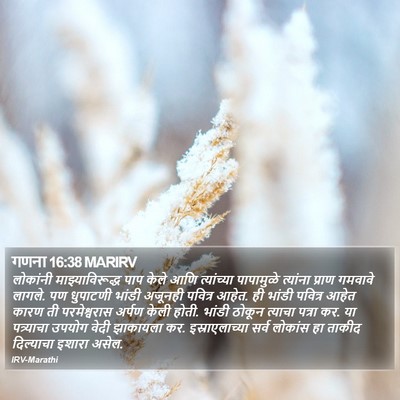 गणना 16:38 MARIRV Bible Verse Image