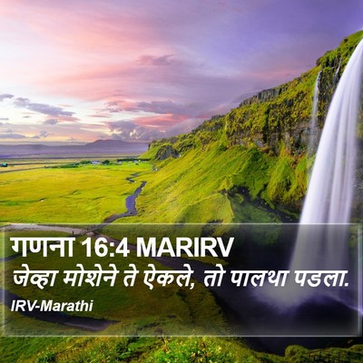 गणना 16:4 MARIRV Bible Verse Image