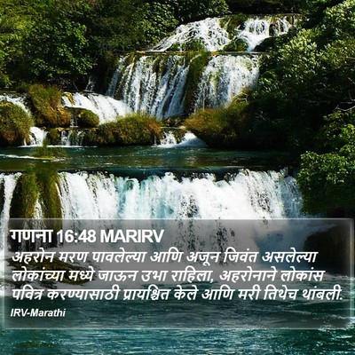 गणना 16:48 MARIRV Bible Verse Image
