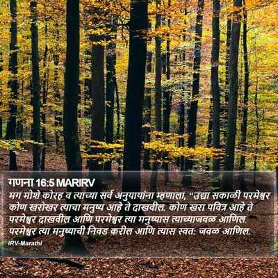 गणना 16:5 MARIRV Bible Verse Image
