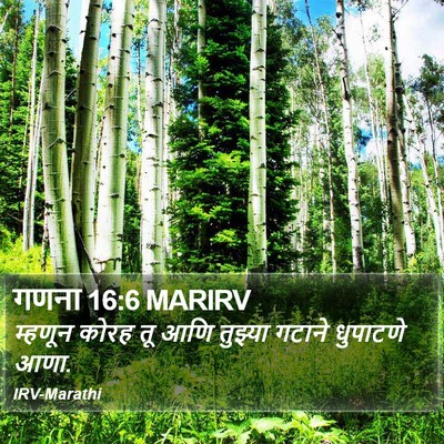 गणना 16:6 MARIRV Bible Verse Image