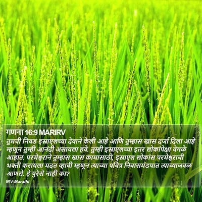 गणना 16:9 MARIRV Bible Verse Image