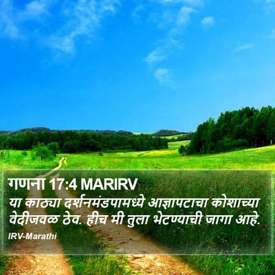 गणना 17:4 MARIRV Bible Verse Image