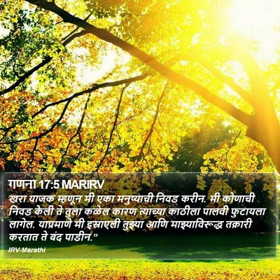 गणना 17:5 MARIRV Bible Verse Image