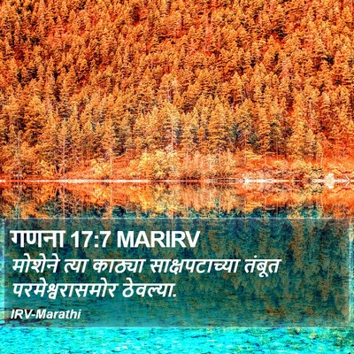 गणना 17:7 MARIRV Bible Verse Image