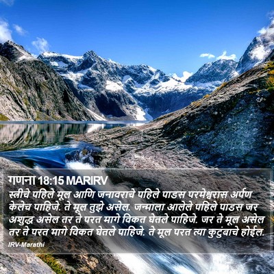 गणना 18:15 MARIRV Bible Verse Image