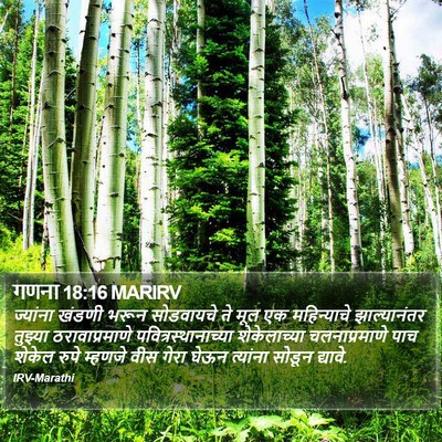 गणना 18:16 MARIRV Bible Verse Image