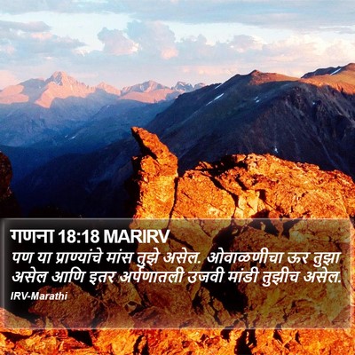 गणना 18:18 MARIRV Bible Verse Image