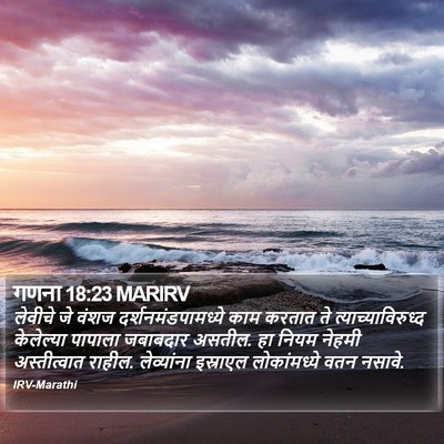 गणना 18:23 MARIRV Bible Verse Image