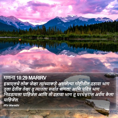 गणना 18:29 MARIRV Bible Verse Image
