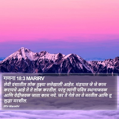 गणना 18:3 MARIRV Bible Verse Image