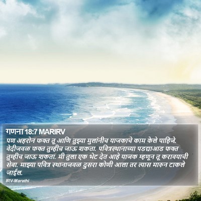 गणना 18:7 MARIRV Bible Verse Image