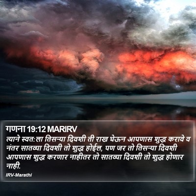 गणना 19:12 MARIRV Bible Verse Image