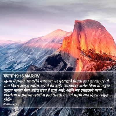 गणना 19:16 MARIRV Bible Verse Image