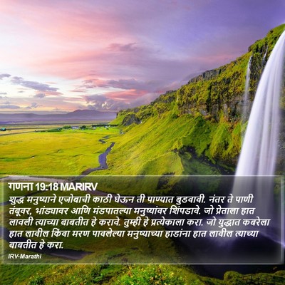 गणना 19:18 MARIRV Bible Verse Image