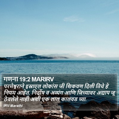 गणना 19:2 MARIRV Bible Verse Image