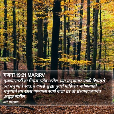 गणना 19:21 MARIRV Bible Verse Image