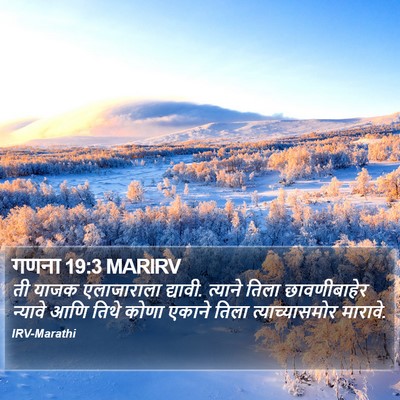 गणना 19:3 MARIRV Bible Verse Image