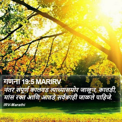 गणना 19:5 MARIRV Bible Verse Image
