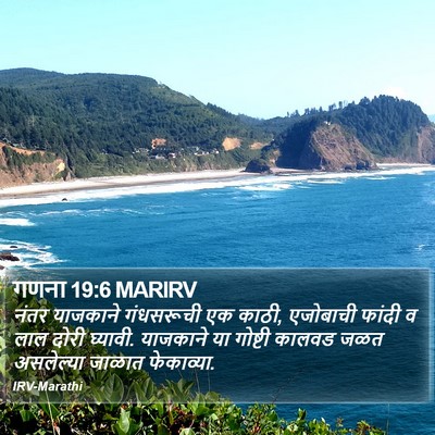 गणना 19:6 MARIRV Bible Verse Image