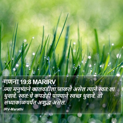 गणना 19:8 MARIRV Bible Verse Image