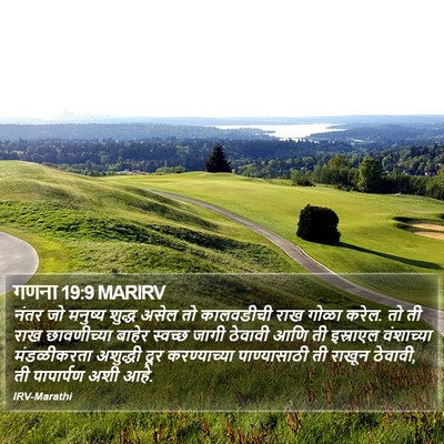 गणना 19:9 MARIRV Bible Verse Image