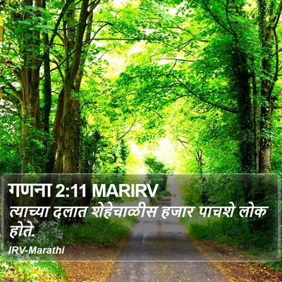 गणना 2:11 MARIRV Bible Verse Image