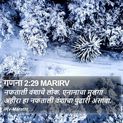 गणना 2:29 MARIRV Bible Verse Image