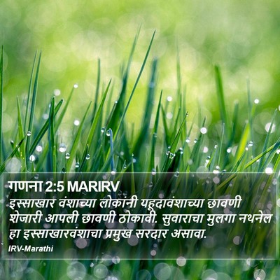 गणना 2:5 MARIRV Bible Verse Image