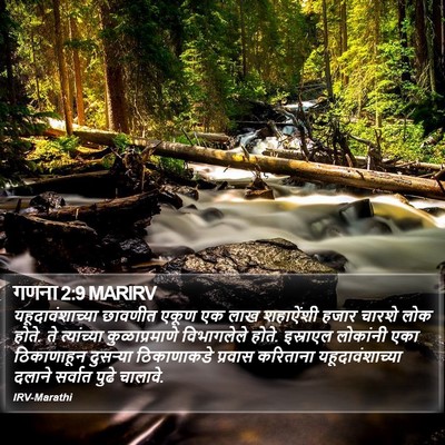 गणना 2:9 MARIRV Bible Verse Image