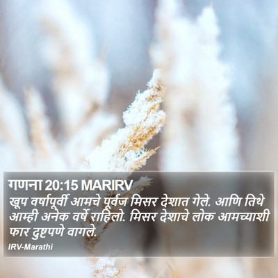 गणना 20:15 MARIRV Bible Verse Image