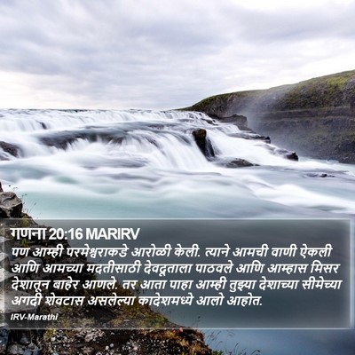 गणना 20:16 MARIRV Bible Verse Image