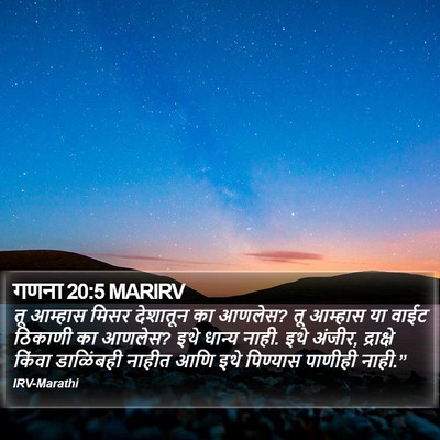 गणना 20:5 MARIRV Bible Verse Image
